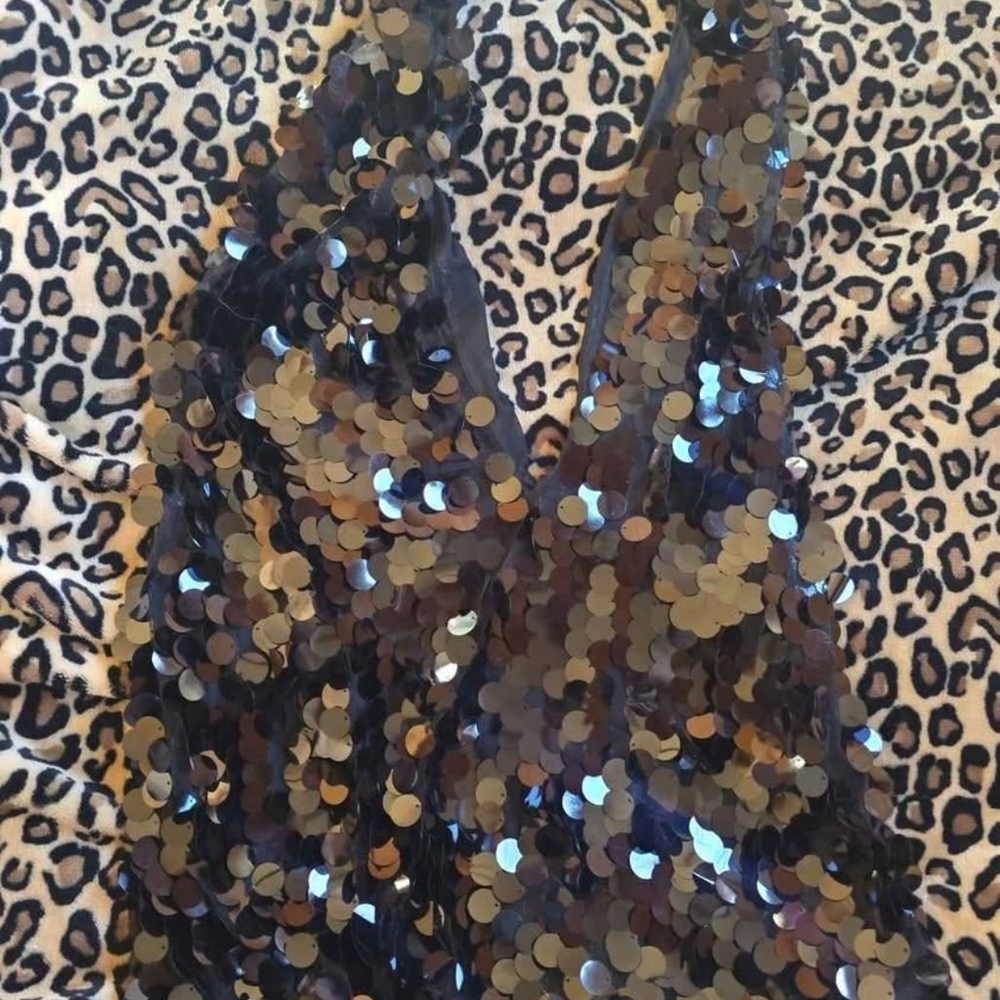 Muse Black Mesh Dress